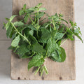 Mint 1oz Fresh