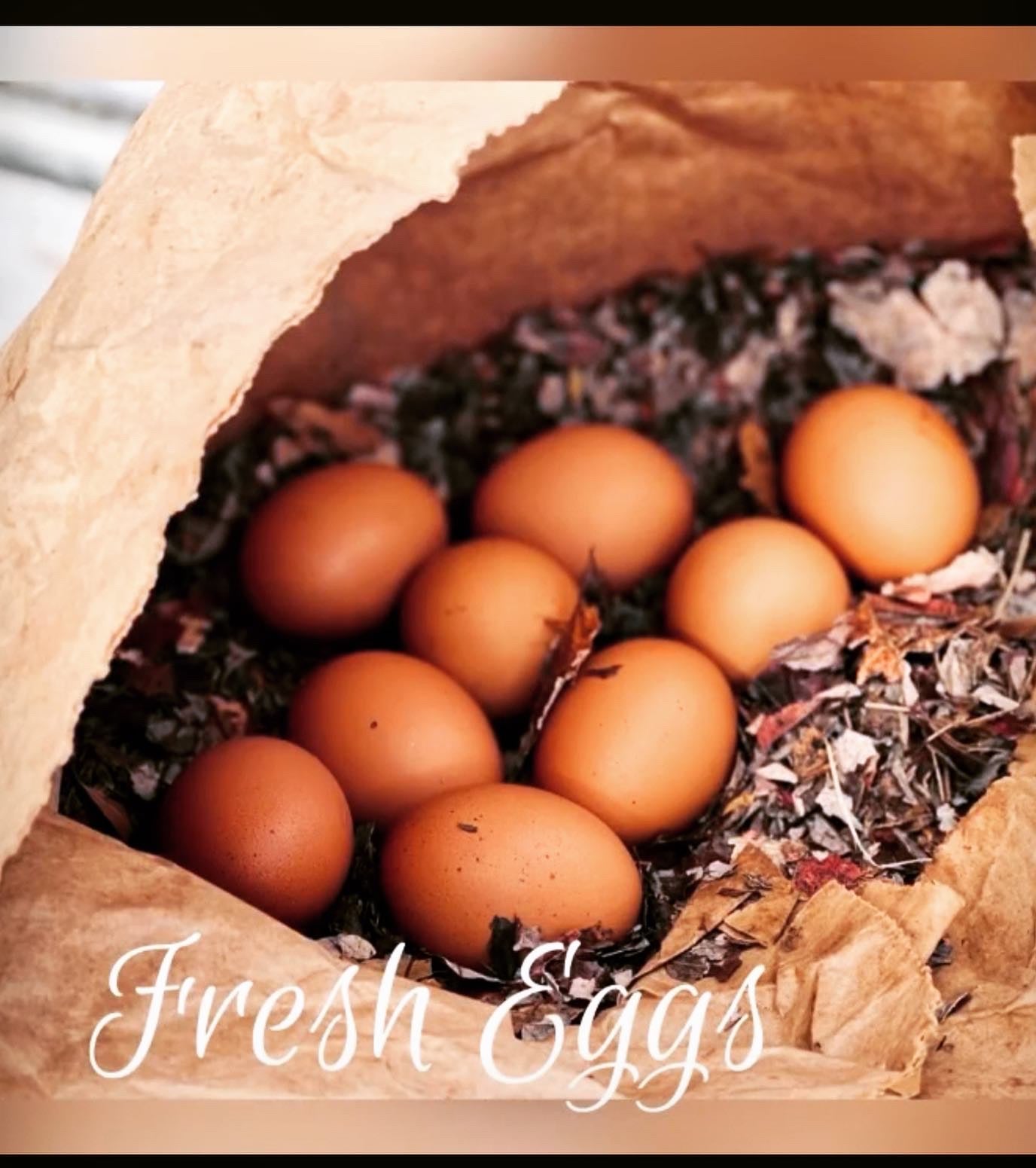 Eggs, I’m next🙋‍♀️ , made on grass & sunshine