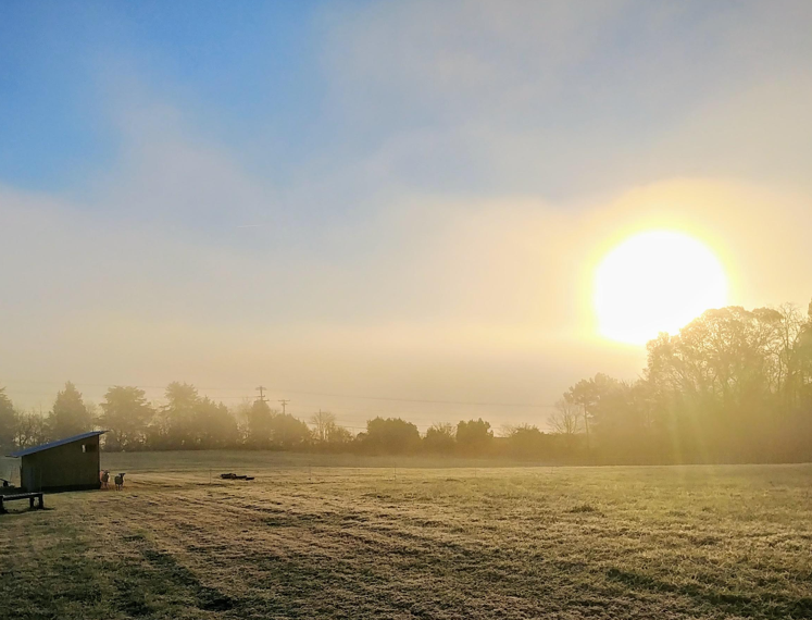 Sunrise over the sheep barn at TerraStay Farm, Saxapahaw, North Carolina