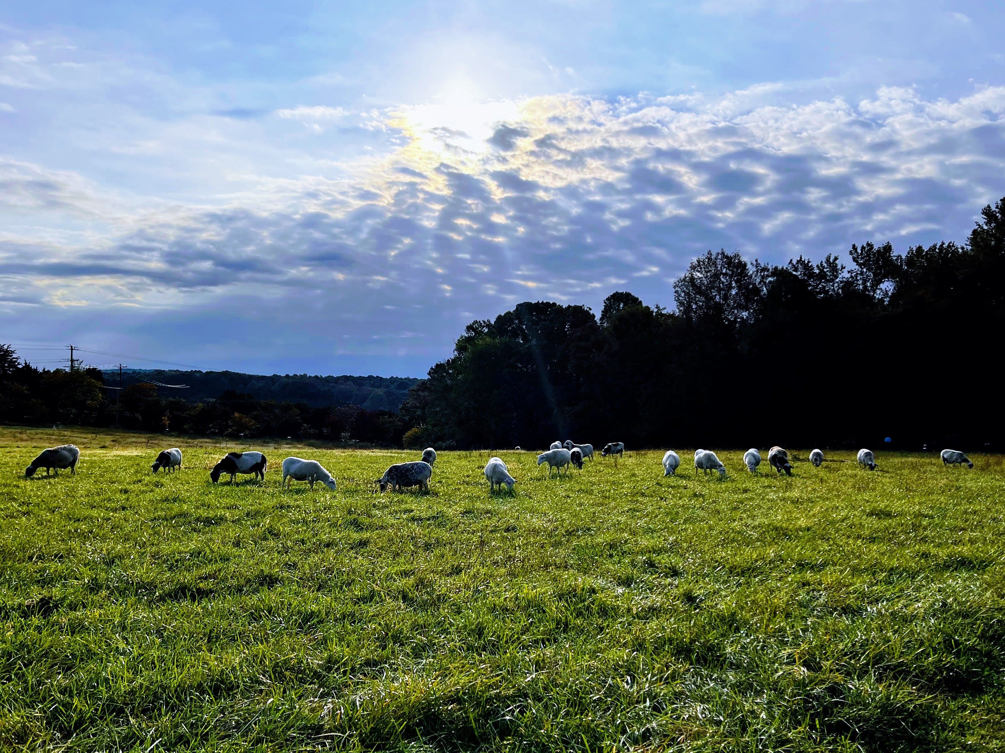 A relaxing evening at TerraStay Farm-Stay Cabins