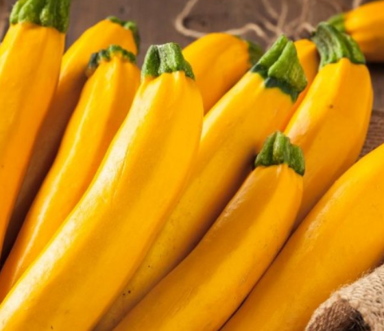 Golden Glory Zucchini Squash