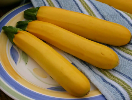 Golden Glory Zucchini Squash