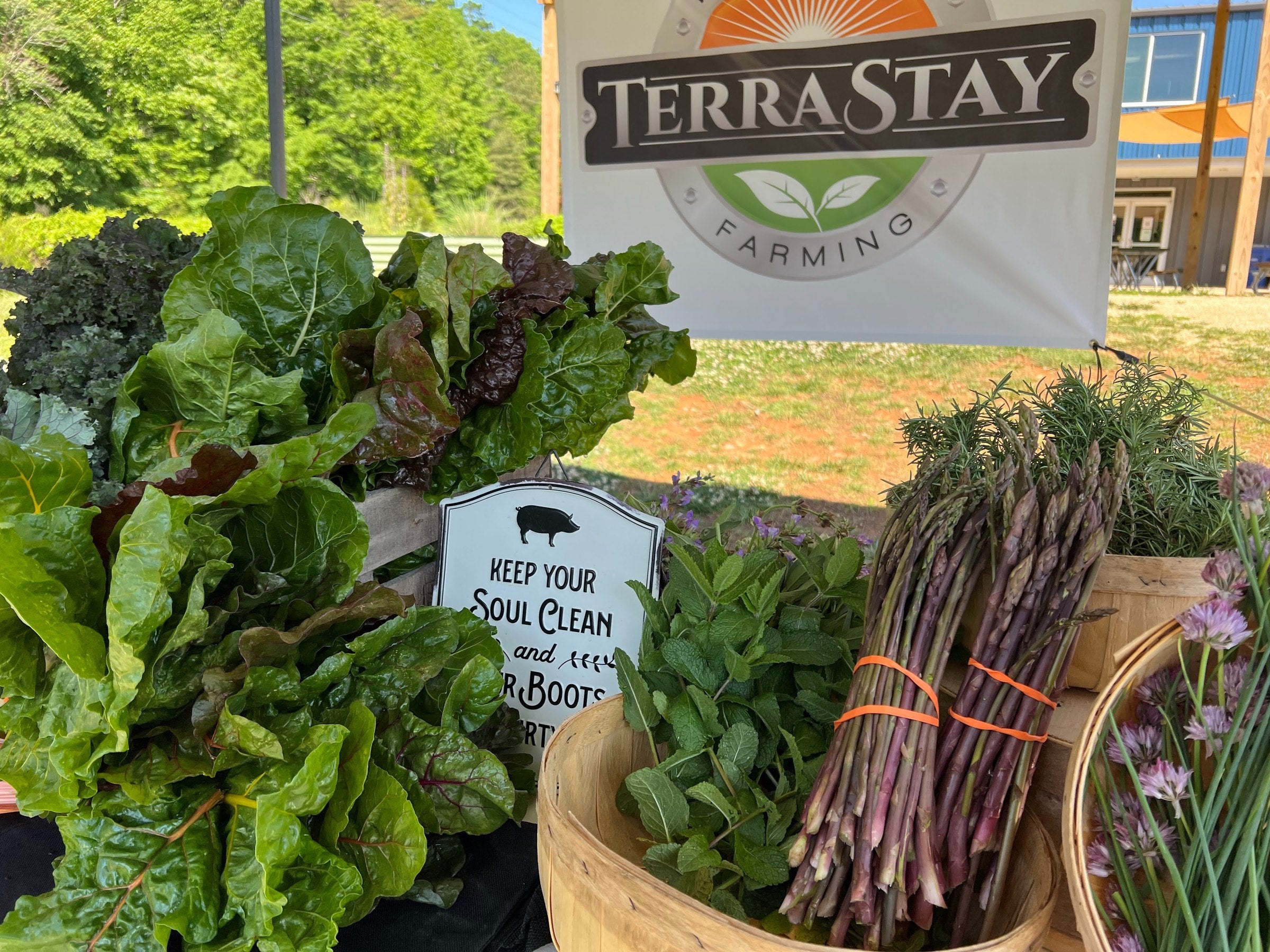 TerraStay Farm gift