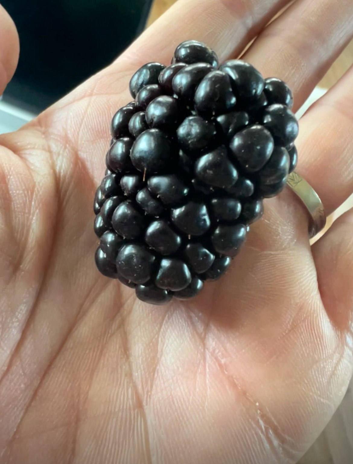 Freshly picked TerraStay Farm blackberries