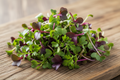 Microgreens: Super Antioxidant Mix