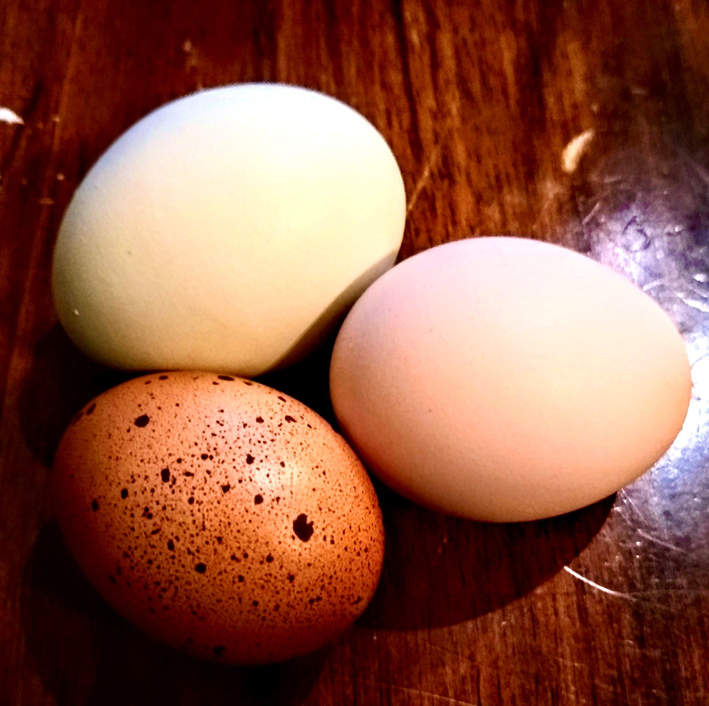 Eggs, I’m next🙋‍♀️ , made on grass & sunshine