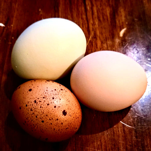 Eggs, I’m next🙋‍♀️ , made on grass & sunshine