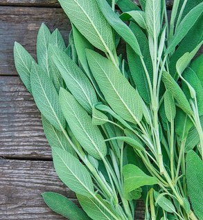 Fresh sage from TerraStay Farm