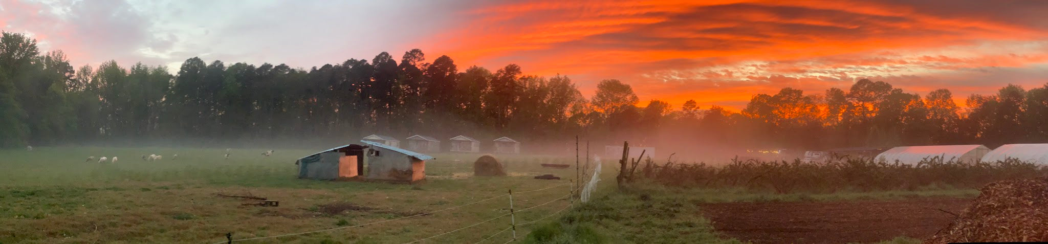 TerraStay Farm, Saxapahaw, North Carolina