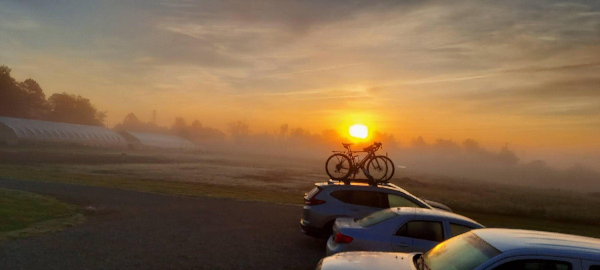 Foggy sunrise over the TerraStay Farm greenhouses