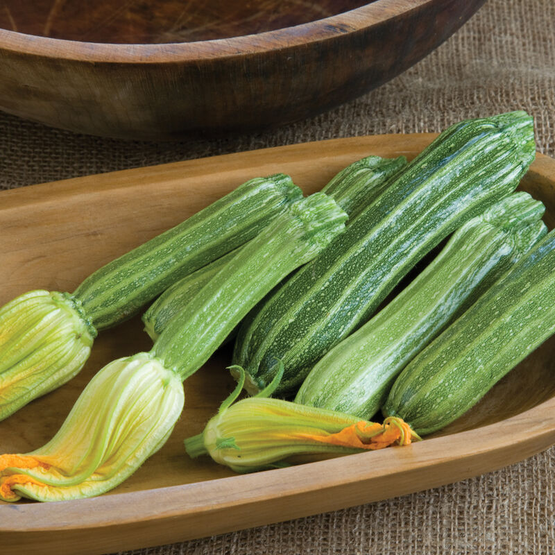 Fresh produce and herbs from TerraStay Farm