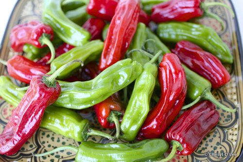 Peppers: Shishitos mixed red and green LB
