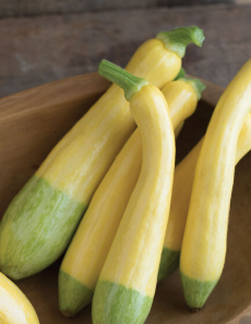 Zephyr Yellow Summer Squash 1lb